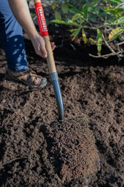 Photo of CRAFTSMAN round point shovel CMXMLTP35330 with wood handle being used to dig soil in a garden.